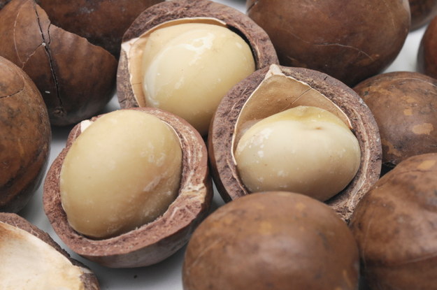 Macadamia Nuts