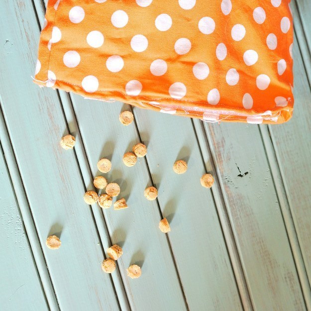 Salmon Crunchies Treats