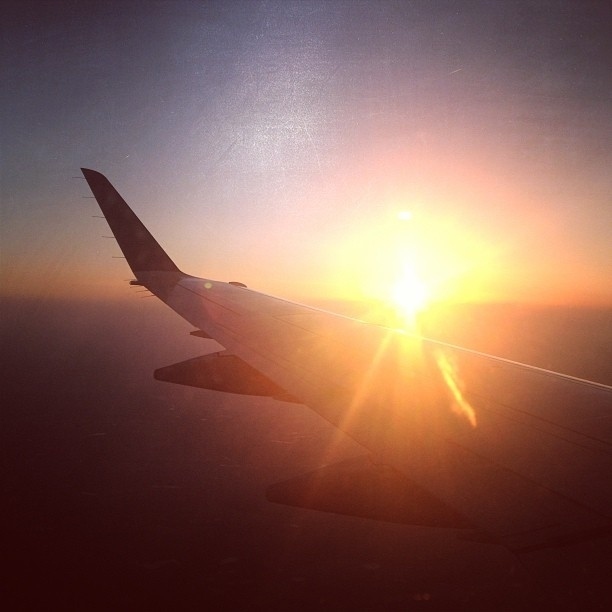 ...or sit by the wing of the plane.